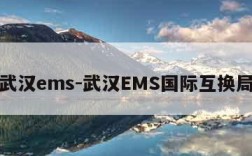 武汉ems-武汉EMS国际互换局