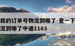 查一下我的订单号物流到哪了-查一下我的订单号物流到哪了中通1103